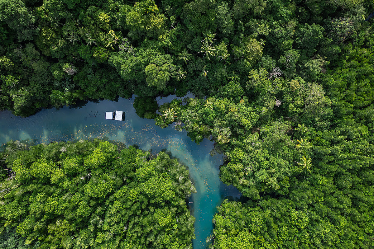 A Greener Approach to Security: Our Guide to Eco-Friendly ID Cards & Accessories