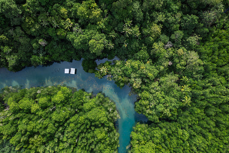 A Greener Approach to Security: Our Guide to Eco-Friendly ID Cards & Accessories